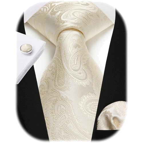 Elegantes herren krawatten set - herren,